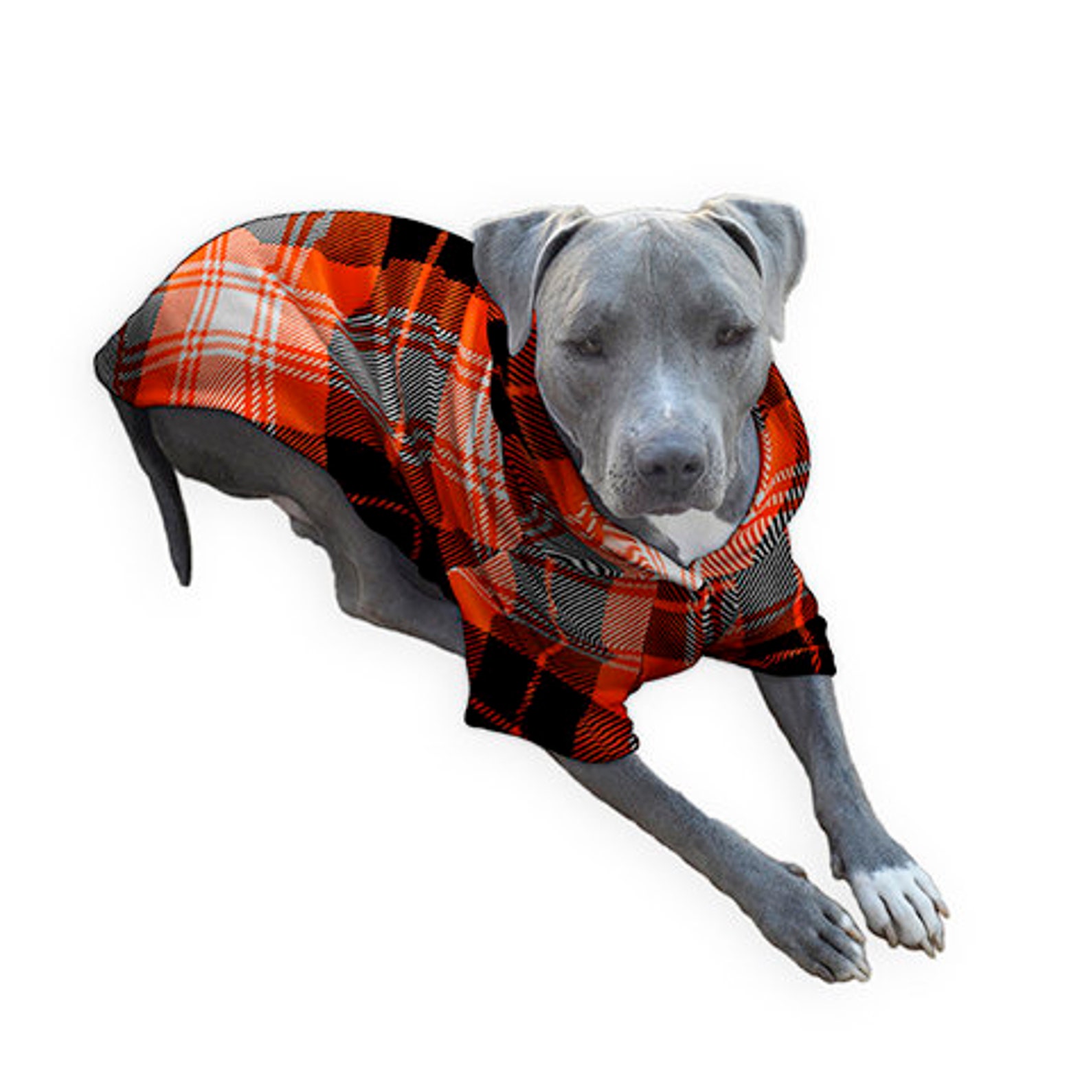 Luxus Qualität Hunde Schlafanzug für große Hunde Schwarz Rot Etsy