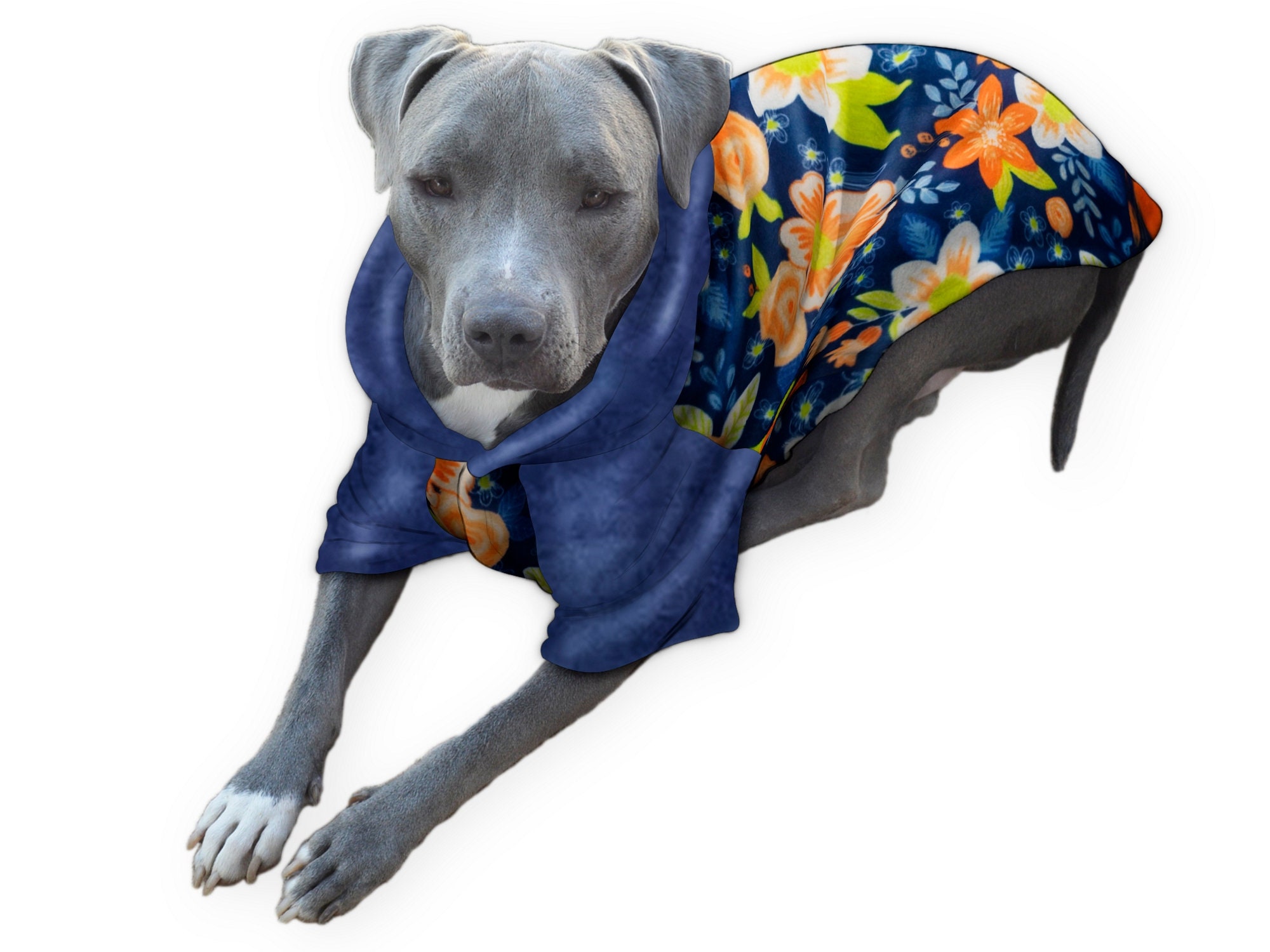 Pitbull puppy clothes deals