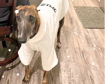 Dog Bathrobe For Big Dogs Luxury Quality Midweight Cotton Terry Cloth Fabric Custom Size With Hoodie Or Collar Great Pet Dog Holiday Gift