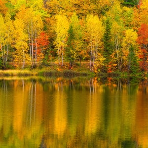 Upper Peninsula Michigan, Marquette Michigan, Fall Color Art, Fall Foliage Metal Print, UP Print, &quot;Upper Peninsula Reflections&quot;
