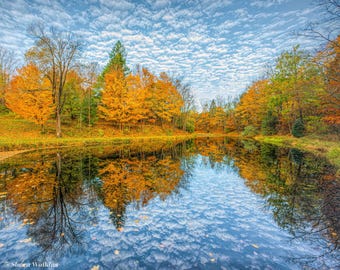 Pastel Blue Sky with Fall Leaves on Northport Pond, Fine Art Print
