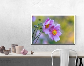 Anemone Flower Print, Flower Fine Art, Anemone Garden, Fall Anemone Metal Print, "Anemone in Fall"