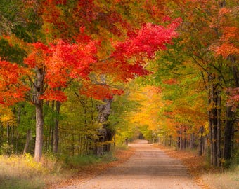 Autumn Road Photography Print: Michigan Fall Colors
