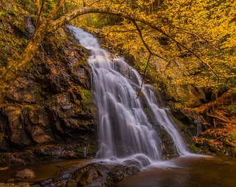 Peut inclure: Une cascade se déverse sur des rochers recouverts de mousse dans une forêt luxuriante. L'eau est floue en raison de la longue exposition, créant un effet soyeux. Les arbres à l'arrière-plan ont des feuilles jaunes vives, ajoutant une touche de couleur automnale à la scène.
