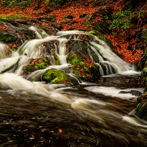 May include: A cascading waterfall flows over moss-covered rocks in a forest setting. Autumn leaves in shades of orange and brown are scattered around the stream.