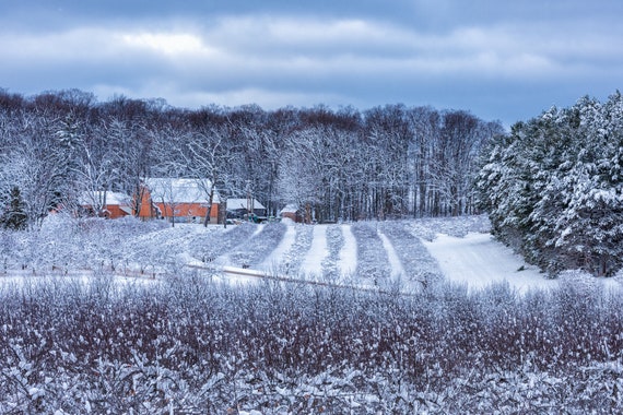 Winter Barn Print, Antique Farm, Winter Snow Print, Barn Metal Print,  "Antique Apple Farm in Northport"