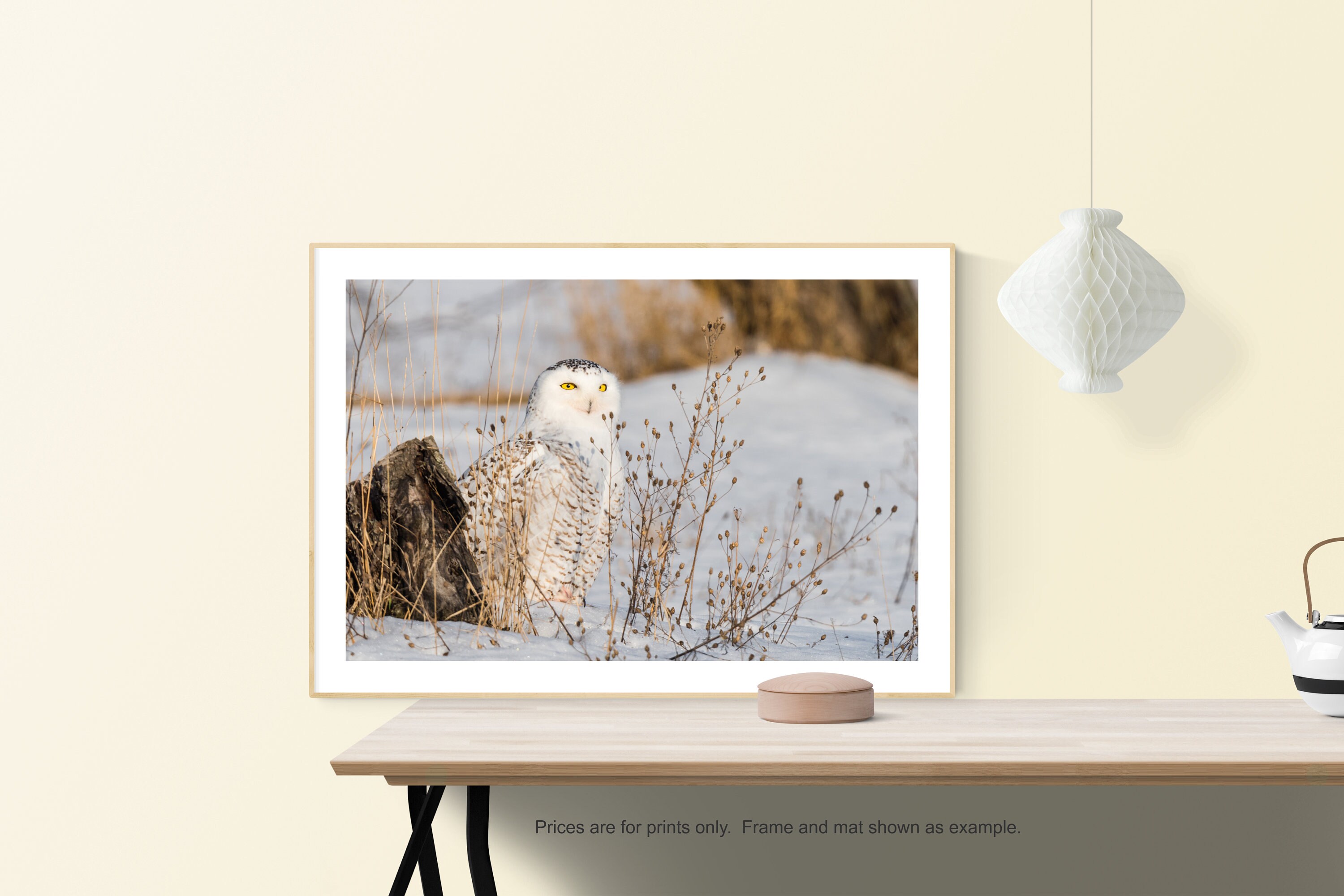 Bird Print, Owl Print, Snowy Owl, Bird Art, "Snowy Owl and the Golden Gaze"