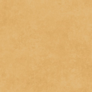 May include: A plain, light brown background with a subtle, textured appearance.