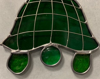 Shy turtle