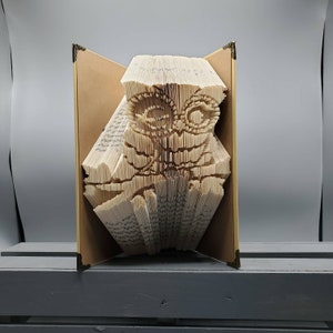 Owl Love, Owl Gift, Owl Book, Owl Decor, Unique Owl Gifts, Handmade Owl Gift, Owl Fan, Owl Book Art, Unique Gift for Owl Lover