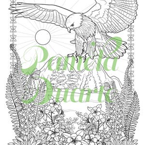 May include: A black and white line drawing of a red-tailed hawk soaring over a mountain range with a sun in the background. The hawk is flying over a forest with flowers and ferns in the foreground. The text "Red Tailed Hawk" is at the bottom of the image.