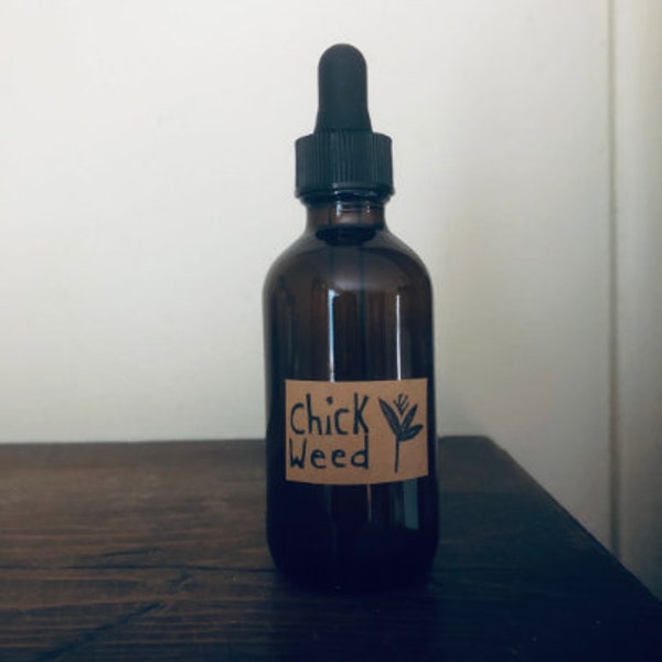 chickweed tincture- wild foraged tinctured fresh