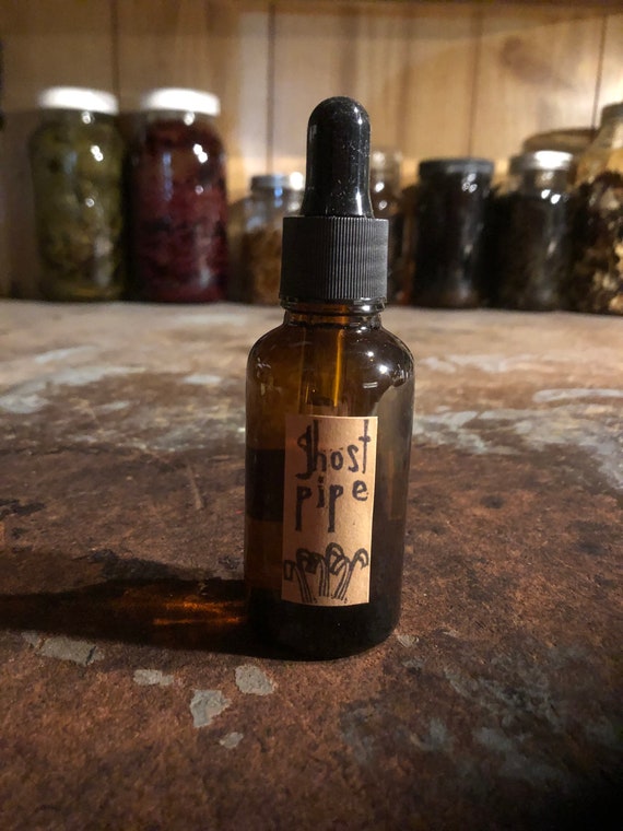 Ghost Pipe Tincture Wild Foraged Etsy