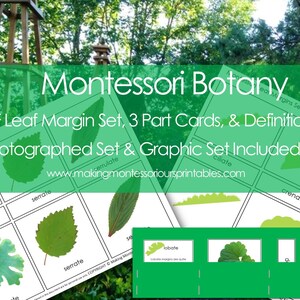 Montessori PDF Leaf Margin Package, 3 Part Cards, & Definitions PDF