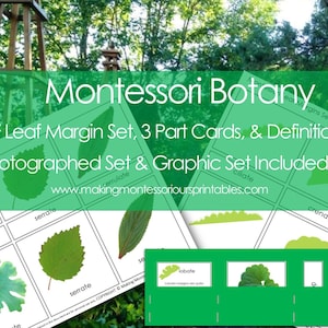 Ensemble PDF Montessori pour marges de feuille, cartes en 3 parties et définitions PDF, étude des formes et des bords des feuilles