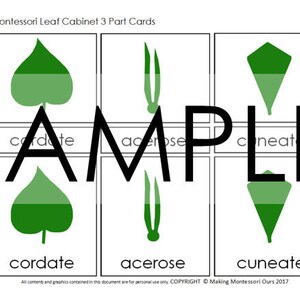 Montessori leaf Cabinet 3 Part Cards PDF image 5