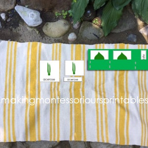Montessori Leaf Cabinet 3 Part Cards PDF - Etsy