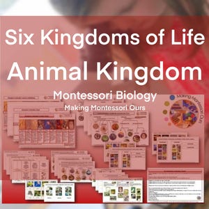 Montessori Six Kingdoms, Animal Kingdom, Animalia Charts, Materials and Labels PDF Printable Package