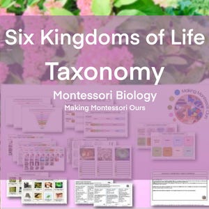 Tassonomia ed etichette dei sei regni della vita Montessori, pacchetto di stampa PDF di biologia Montessori, introduzione e studio della classificazione delle specie