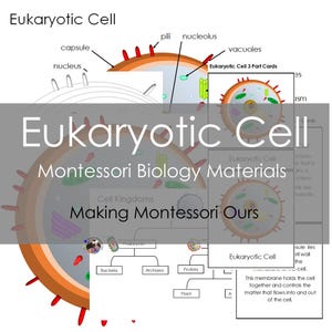 Ensemble de 3 supports d'apprentissage PDF sur les cellules eucaryotes Montessori, cartes et tableaux de définitions