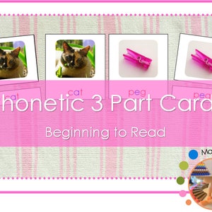 Montessori CVC Phonetic 3 Part Cards /Learning Letter Sounds /Early Reading /Short Vowel Beginner Reading Cards