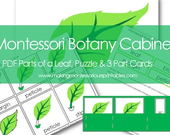 Montessori Botany Cabinet PDF Parts of a Leaf 3 Part Cards & Puzzle and Activity Labeling Set