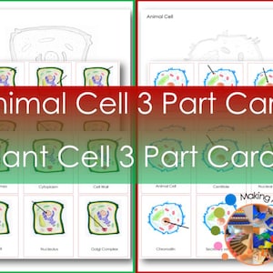 Montessori Animal & Plant Cell 3 Part Cards and Colouring Pages