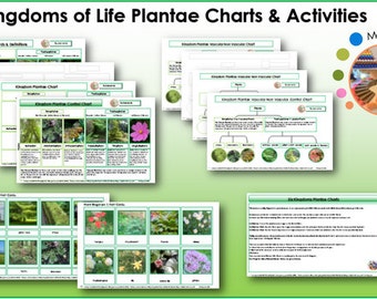 Six Kingdoms Plantae Materials & Labels Printable Package