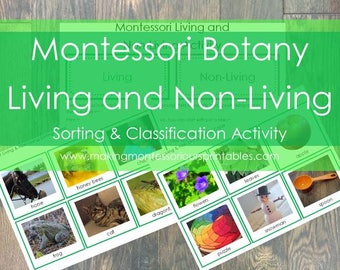 MMO Montessori Botany Living and Non-living Classification and Sorting Activity PDF