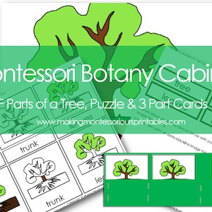 Montessori plantenkast pdf delen van een boom 3-delige set kaarten, puzzel en activiteitenlabels