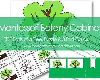 Montessori Botany Cabinet PDF Parts of a Tree 3 Part Cards & Puzzle and Activity Labeling Set