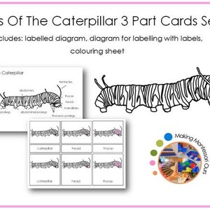 Caterpillar Montessori 3 Part Card Package, PDF