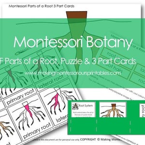 Montessori Części Pierwiastka Puzzle PDF, 3 Części Karty i Karty Definicji