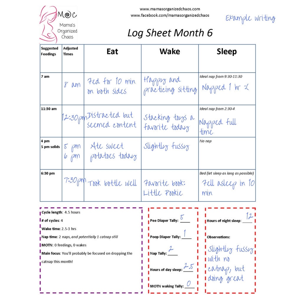 It's just a picture of Challenger Printable Baby Schedule It is a photo of Challenger Printable Baby Schedule