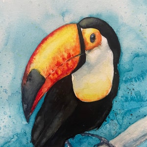 Toucan - watercolour - Giclee print - fine art - A3 - A4 - contemporary - bird