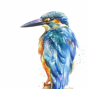 Kingfisher watercolour painting in Giclee print A4 A3 A2