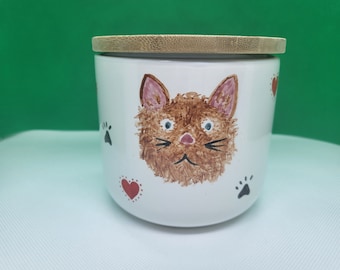 Scruffy cat biscuit jar