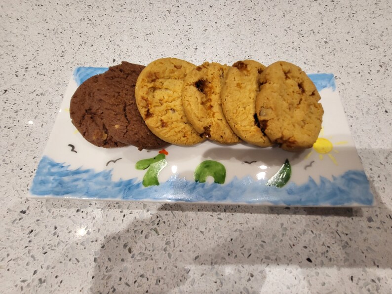 May include: A rectangular ceramic serving plate decorated with a painted blue ocean, green sea creatures, and a yellow sun, holding two dark brown chocolate cookies and four light golden-brown cookies arranged in a single row across the surface.