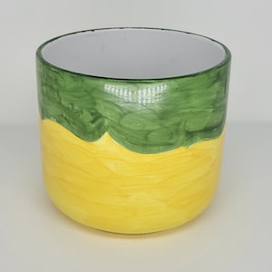 Lemon plant pot