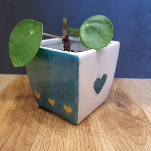 Square colourful mini plant pot