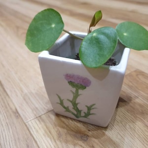 Pode incluir: Um pequeno vaso quadrado de cerâmica branca com um desenho de cardo roxo pintado à mão. O vaso contém uma pequena planta verde com folhas redondas. O vaso está sobre uma superfície de madeira.