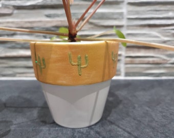 Mini pot de plantes de cactus étincelant