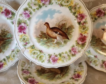 Set of 8 Vintage Bird-decorated Dinner Plates - Etsy