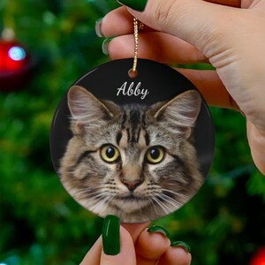 Personalised Pet Noël Santa Paws chat chien arbre de cœur décoration plaque 