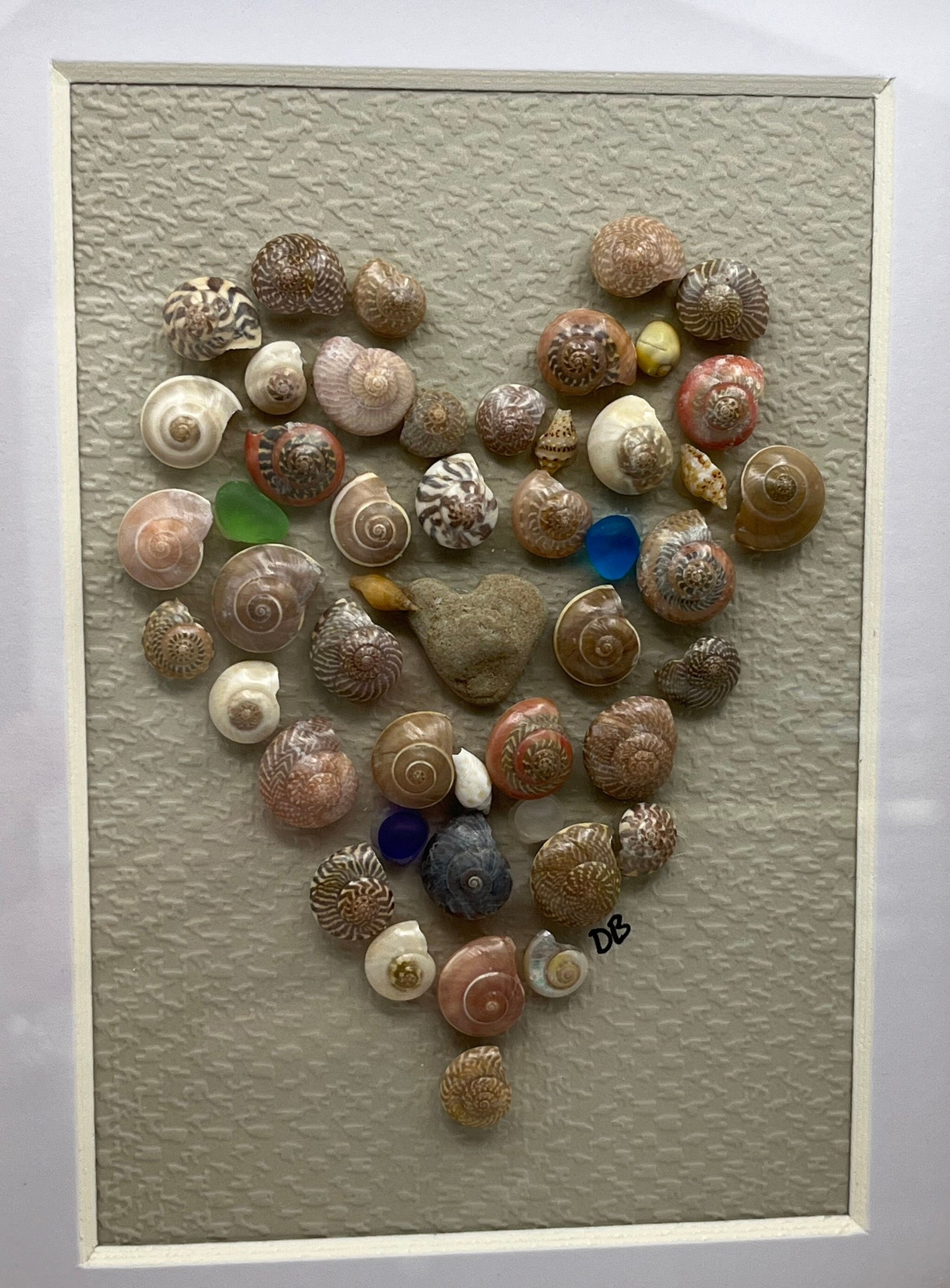 Shell Art Shadow Box Frame Art Snail Shell Art Friend Sister Birthday ...