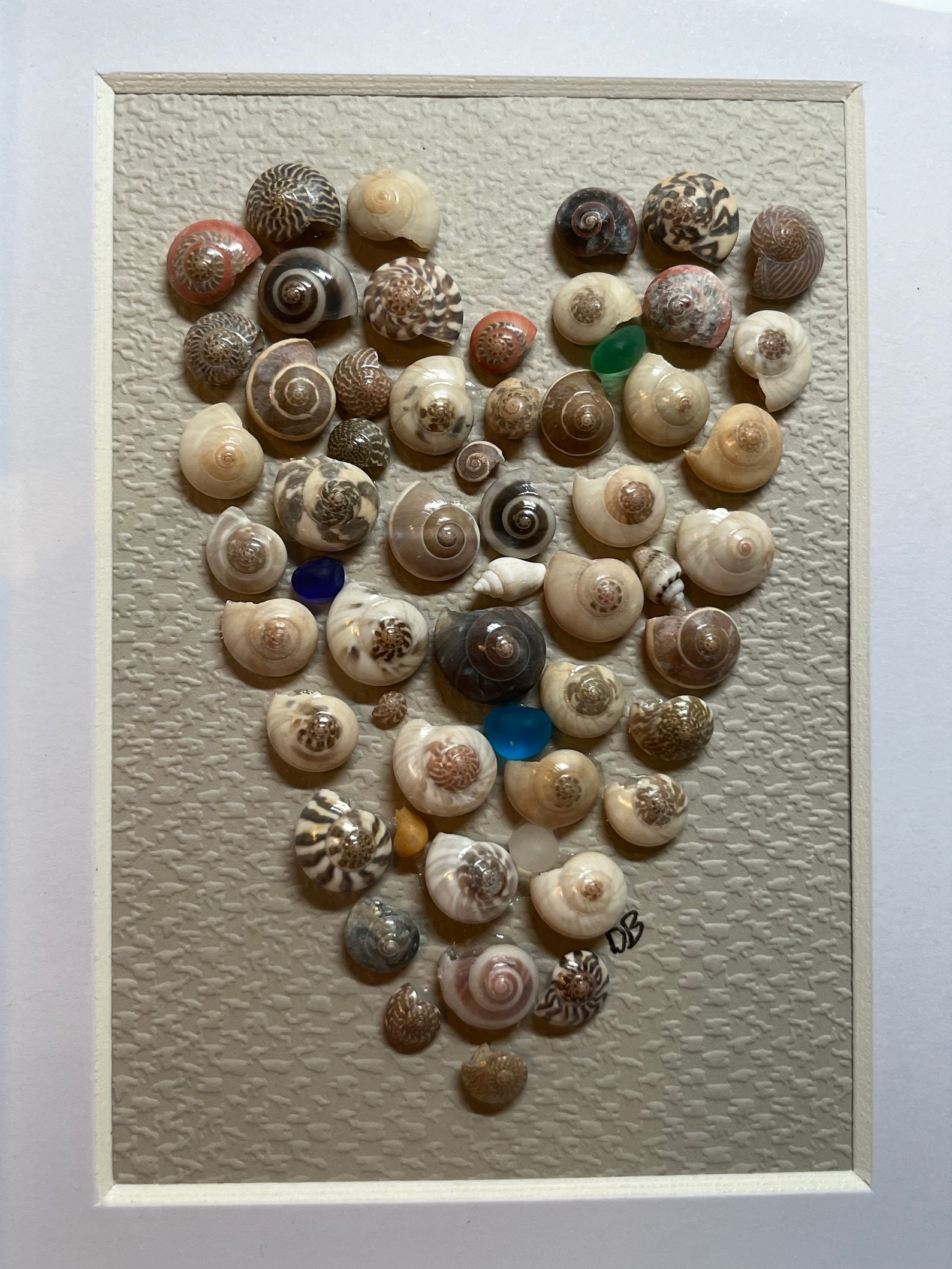 Shell Art Shadow Box Frame Art Snail Shell Art Friend Sister Birthday ...