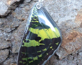 Madagascan Sunset Moth Resin Wing Necklace (forewing)