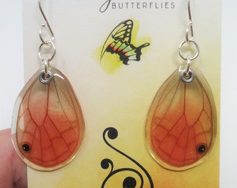 Pink Tipped Satyr Real Butterfly Wing Resin Earrings - Butterfly Wing Jewelry -- OOAK