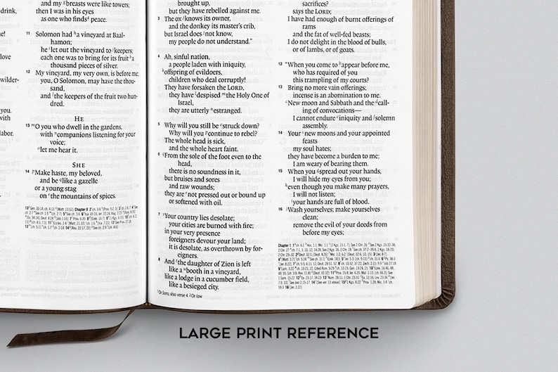 Puede incluir: Primer plano de una p&aacute;gina de una Biblia de letra grande, que muestra vers&iacute;culos del libro de Isa&iacute;as. El texto est&aacute; en blanco y negro, con las palabras "LARGE PRINT REFERENCE" en la parte inferior de la p&aacute;gina.
