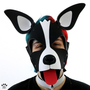 Black Benson Pup Hood